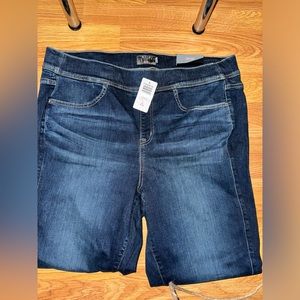 NWT torrid jeans